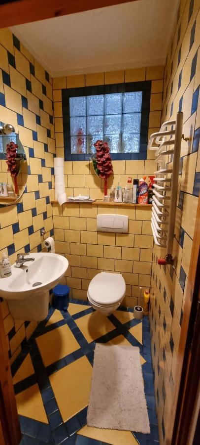 Apartament W Komornikach 科莫尔尼基 外观 照片